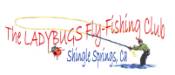 Ladybug Logo A copy.jpg